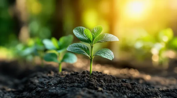 India Biofertilizers Market