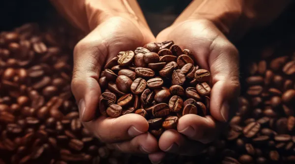 Brewing Success: Strategic Insights into the $85 Billion US Coffee Market